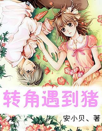 驱逐城堡入侵者选关版